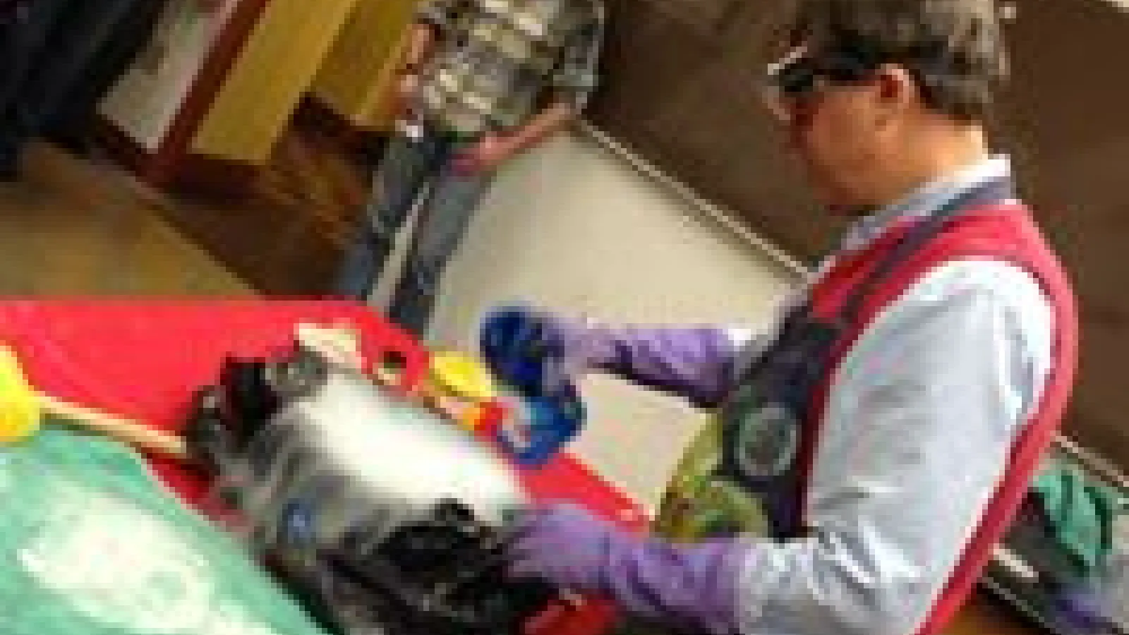 Demonstrator performing an experiment