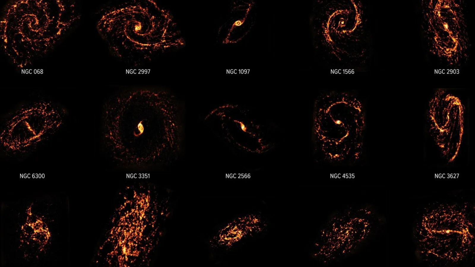 Survey of Stellar Nurseries