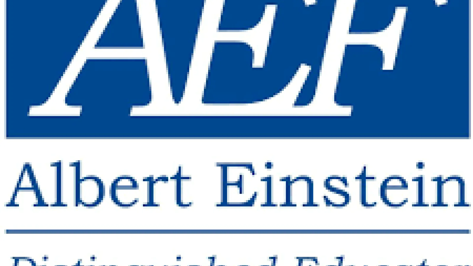 Albert Einstein Fellowship Logo