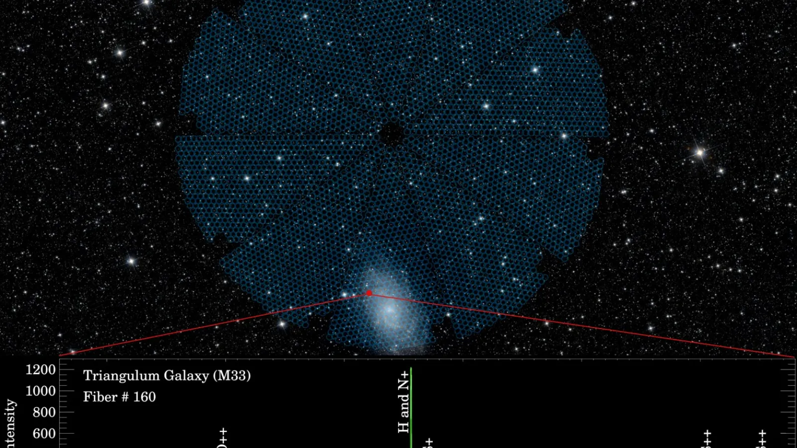DESI's Focal Plane on the Night Sky