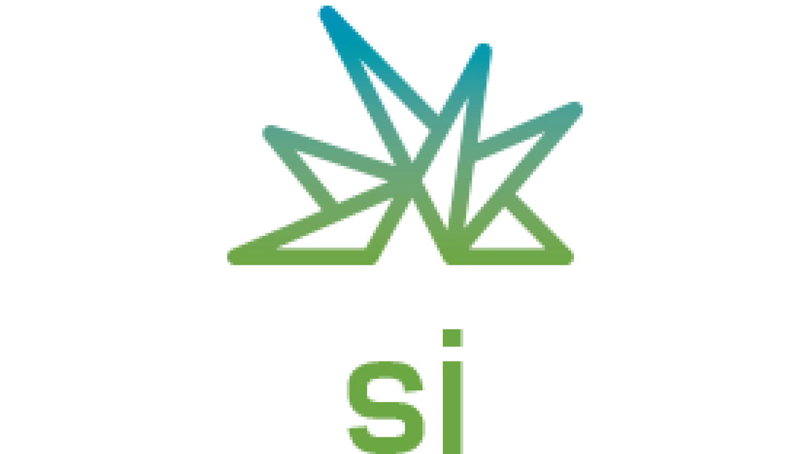 Si Web Logo
