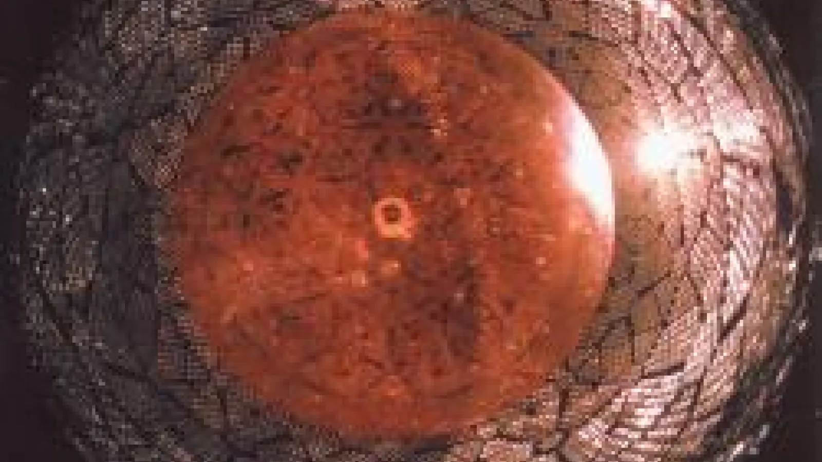 SudburyNeutrinoObservatory