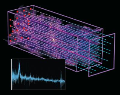 LymanAlphaForestWorkshop