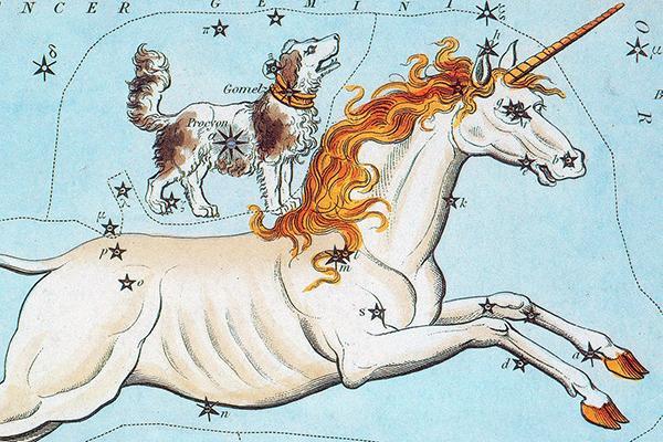 Unicorn and dog with constellations superimposed